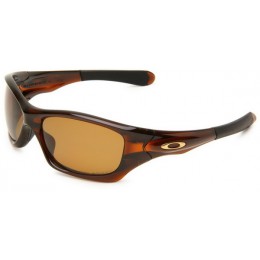 Oakley Sunglasses Pit Bull Polished Brown